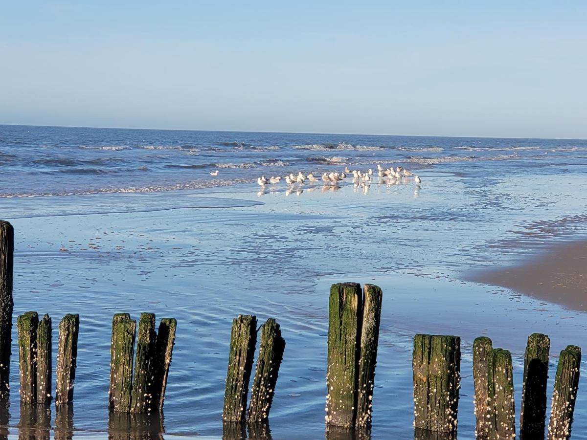 pension canberra Bergen aan Zee Esterno foto